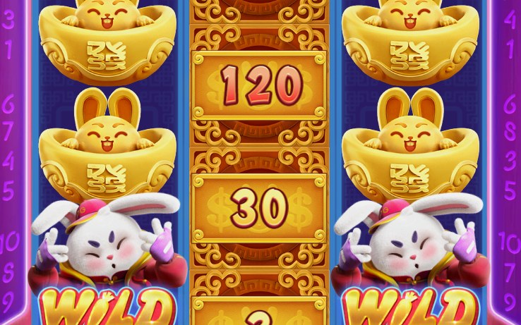 Fortune Rabbit